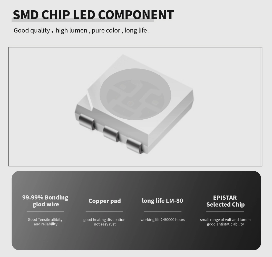 SMD5050 RGB Digital LED Strip Light Pixel 60LEDs/M Color Changing