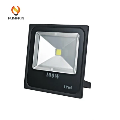 Quality Assurance IC Driver Low 100W LED Flood Light